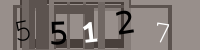 Kontrolní kód